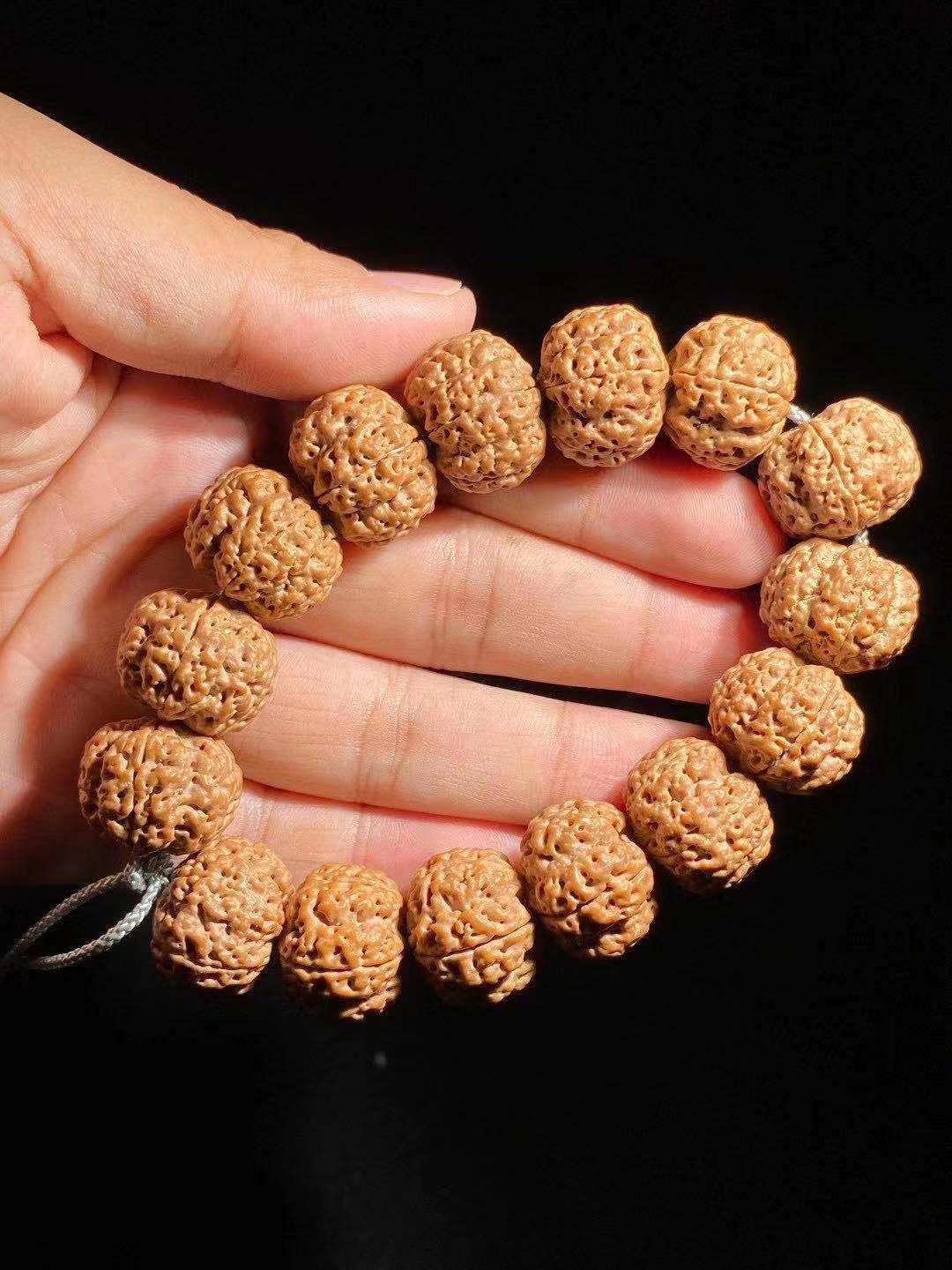 大金刚和小金刚的区别图片,新手入门大金刚