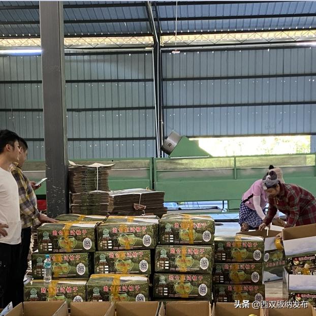 璇辨儜闅炬尅,鍕愪粦鏌氬瓙鍙堝ぇ鍙堢敎