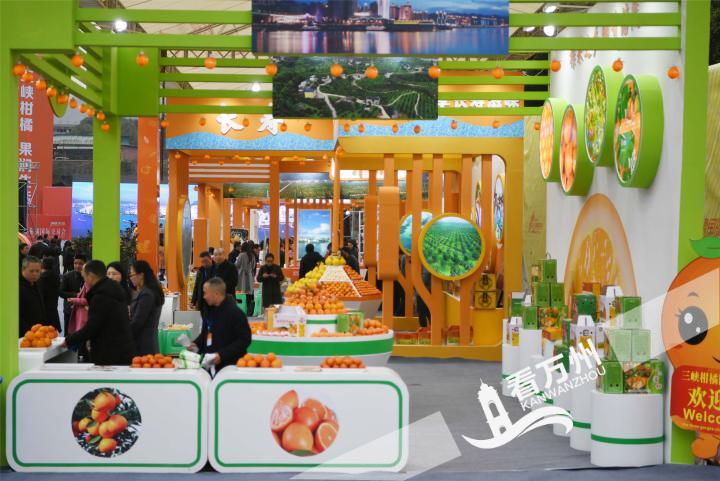 三峡柑橘展馆交易会,三峡柑橘国际交易会快报
