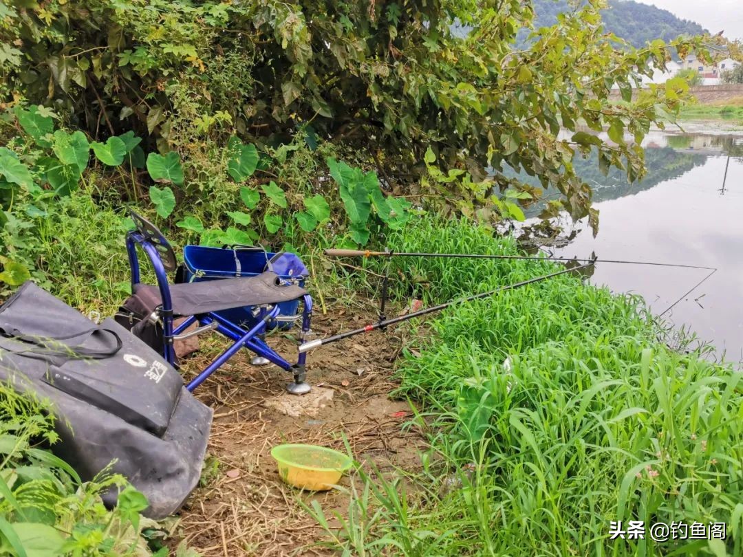 连球钓椅c19和x12什么区别,钓椅怎么选牌子