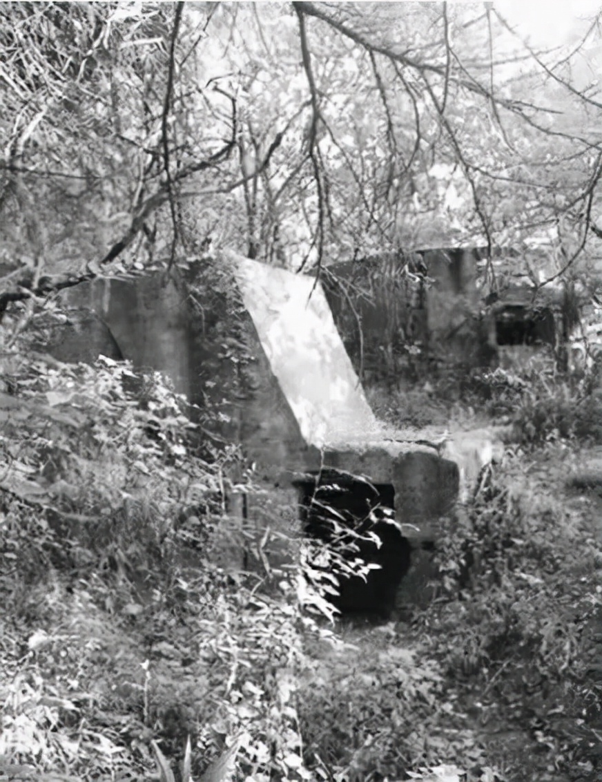 84年前紫金山那场惨烈的保卫战