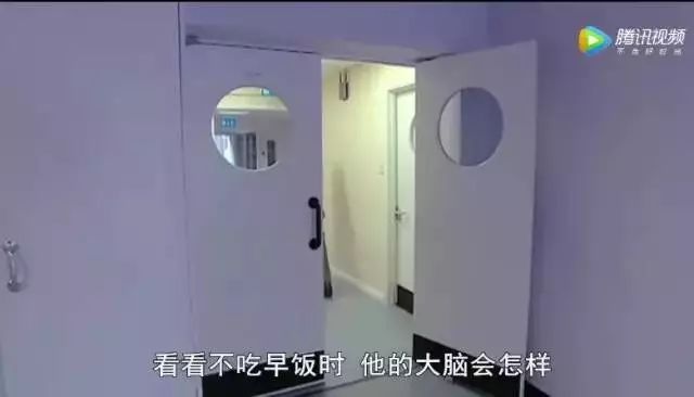 吃早餐真的会让人变胖嘛,bbc科学实验