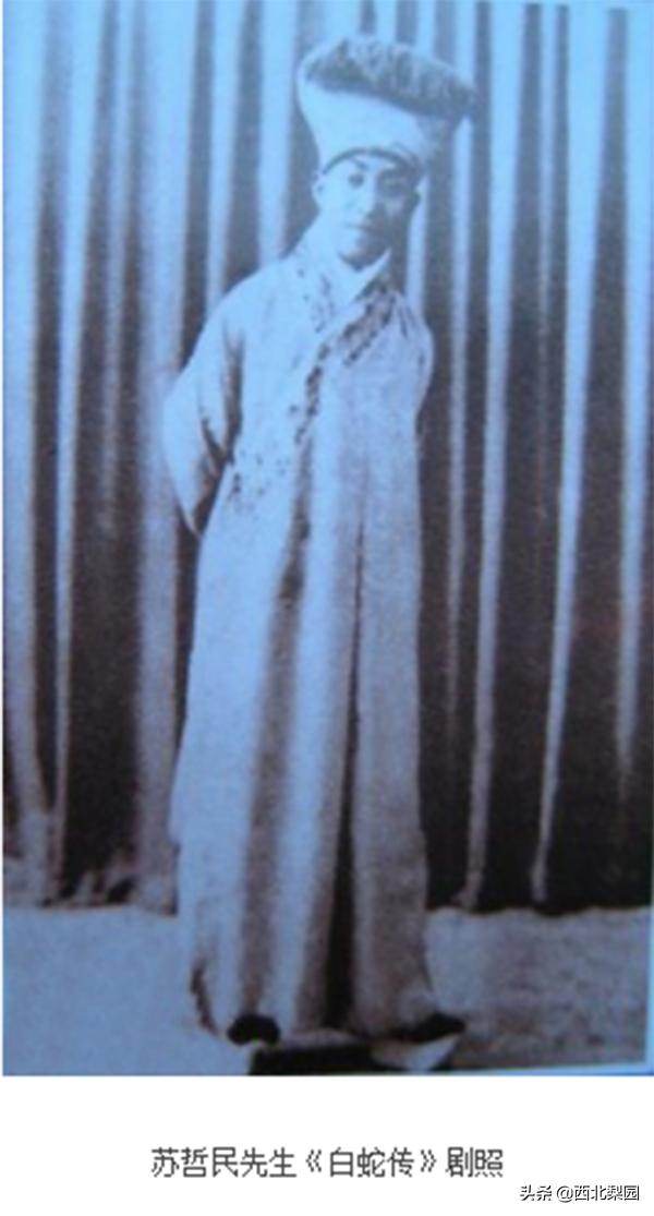 秦腔名人苏哲民,秦腔民间名人唱段