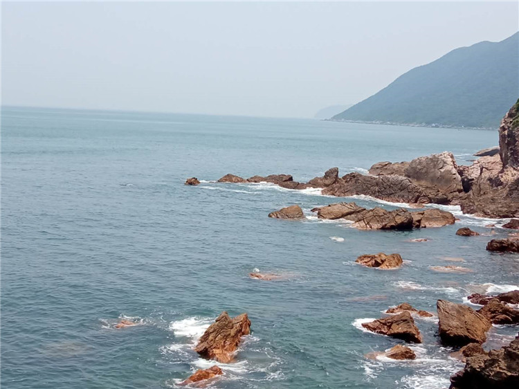 碧水彩石杨梅坑，民宿连片较场尾