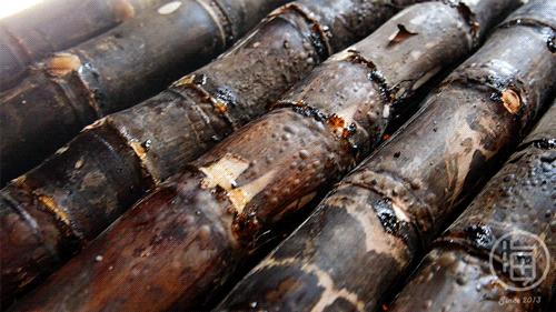 海口烤甘蔗哪里最好,海南的烤甘蔗