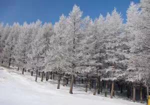 张家口冬天自然景观,张家口地区壮美山河优美风景介绍