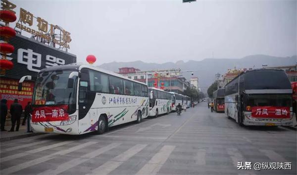 2024春风行动丹凤,丹凤县春风行动