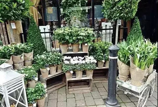 开花店怎么学技术,开花店零基础知识