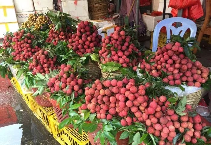 深圳年货批发市场进货渠道,深圳宝安区年货批发市场