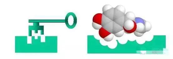 当医生问病人怎么打算时该怎么回,疮疡病病人的症状