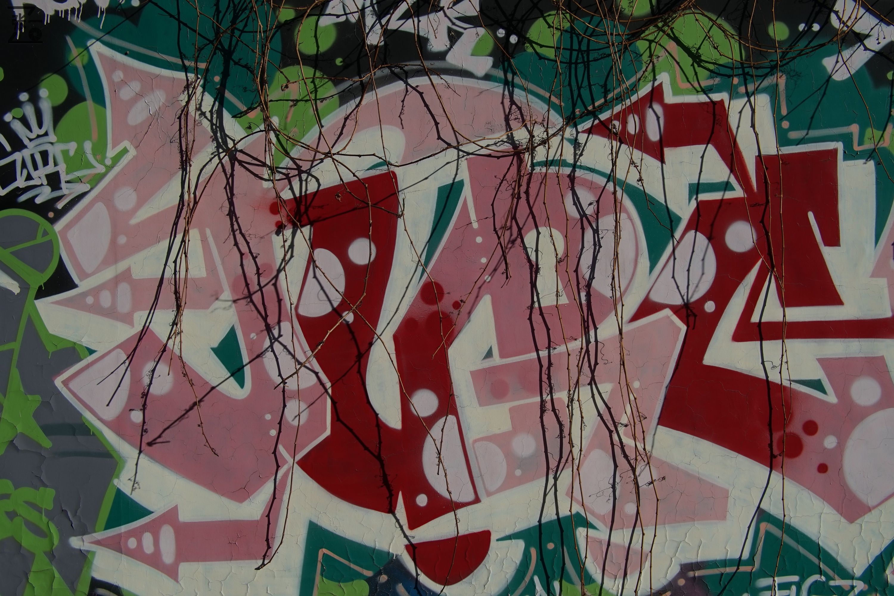 中国产微单,24-135镜头索尼