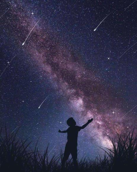 物以类聚人以群分下一句,物以类聚人以群分精辟句子