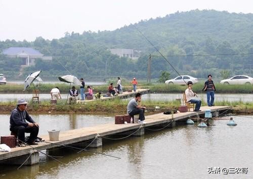 八个适宜在农村创业致富的项目,适合农村做的项目投资少见效快