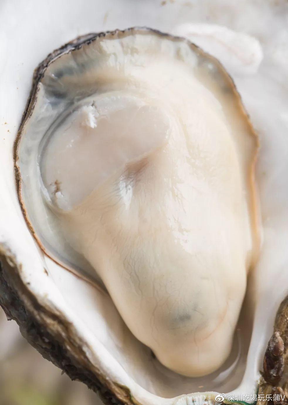 宝安人的顺德饭堂，生蚝用木桶蒸，还加黑松露