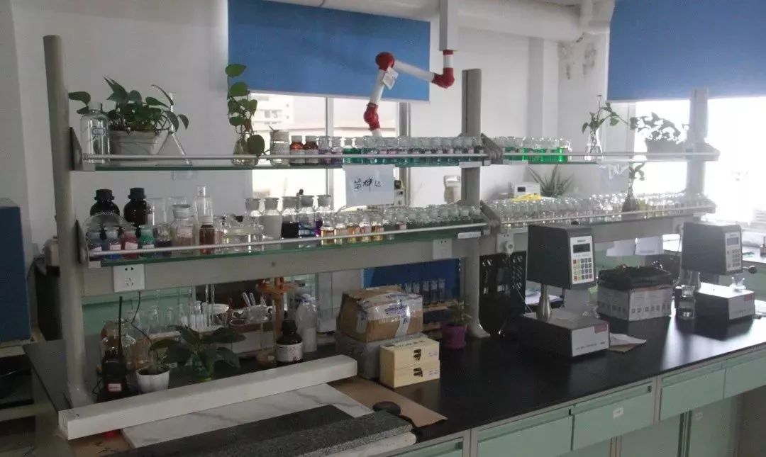 「“东融1+1”新媒体报道之四」服!这家来贺州投资生产树脂的公司,当年投产当年实现盈利!