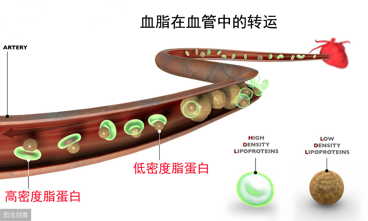 阿托伐他汀与瑞舒伐他汀的优缺点,冠心病吃辛伐他汀还是瑞舒伐他汀