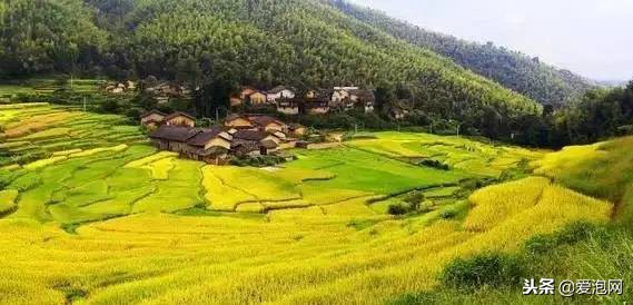 广东粤北最美公路,粤北最美的国道是哪条线