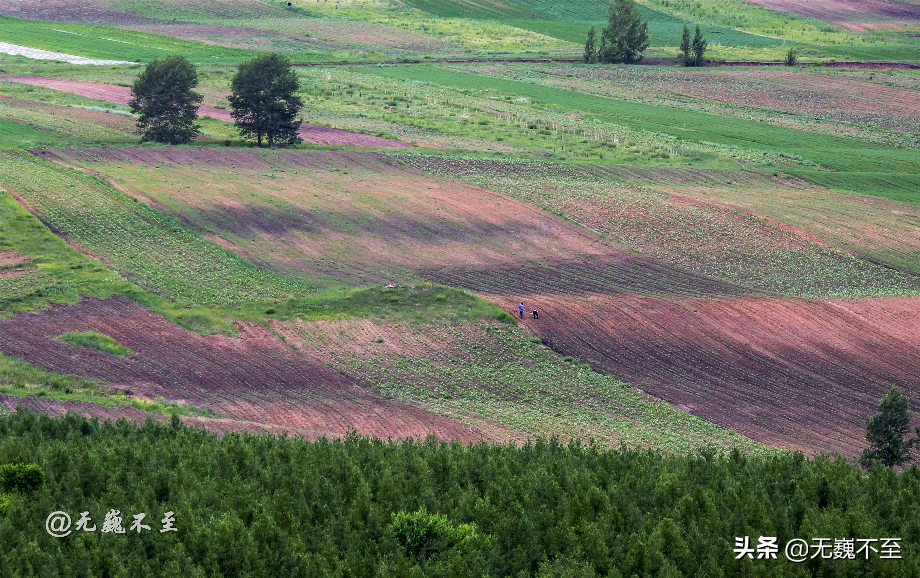 3天自驾克什克腾旗旅游攻略,内蒙古腾格里自驾游最佳路线