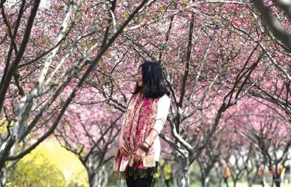 禹州清明踏青旅游攻略,禹州春游爬山的好地方