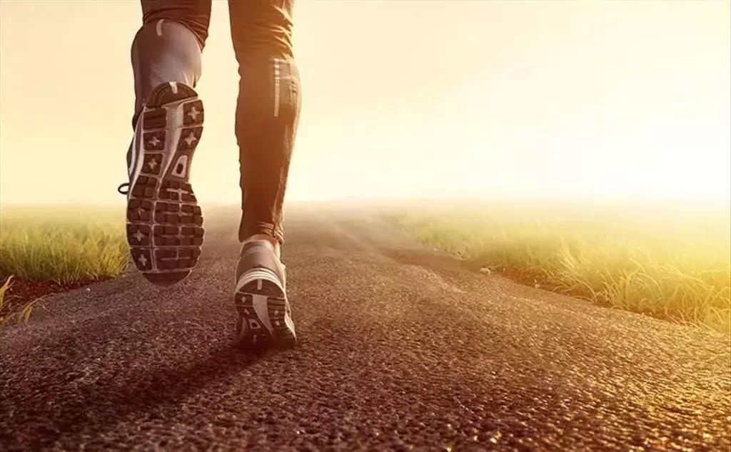 跑步锻炼能治百病 (跑步的科学真相)