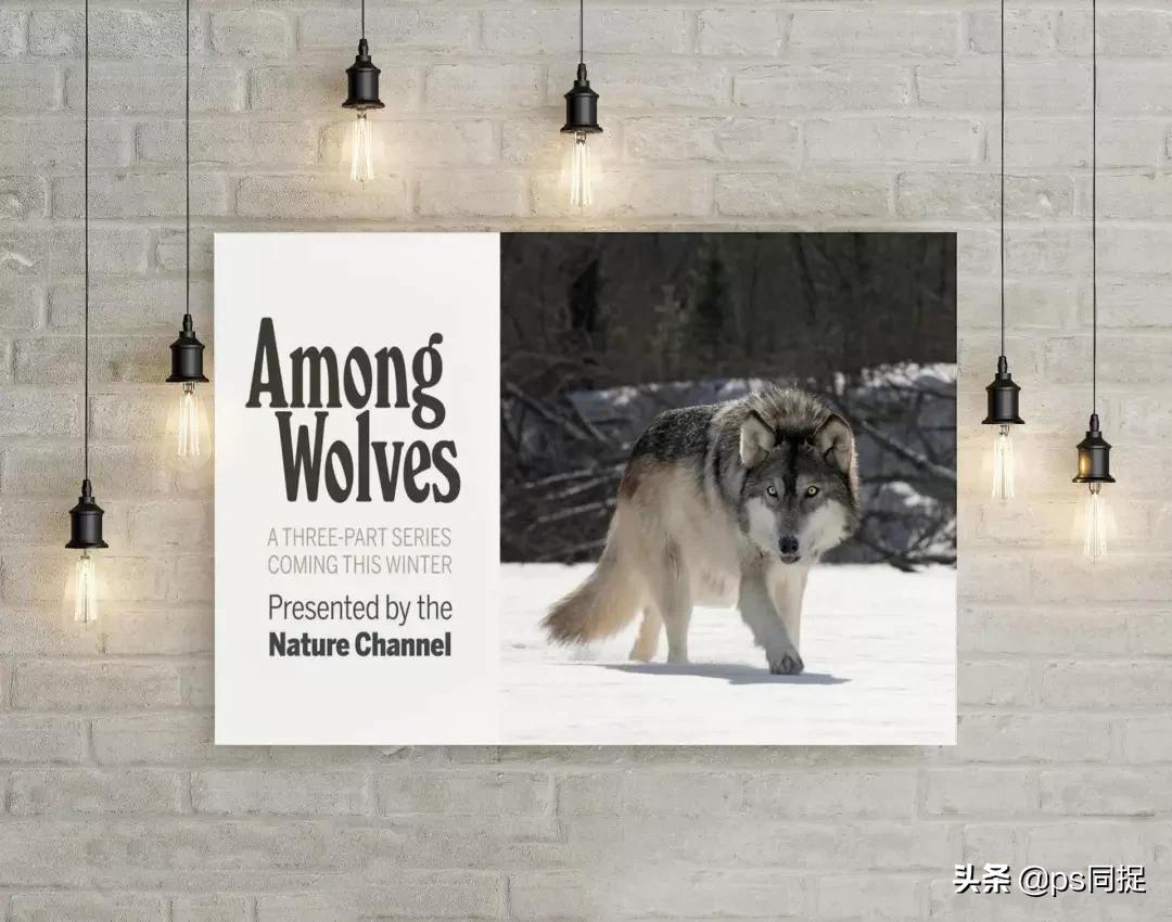 jpg图片批量裁切,如何快速批量裁切图片