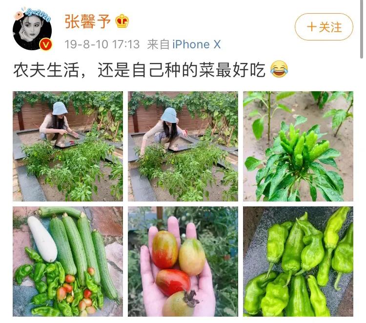 张馨予现状八卦爆料,张馨予被黑完整版