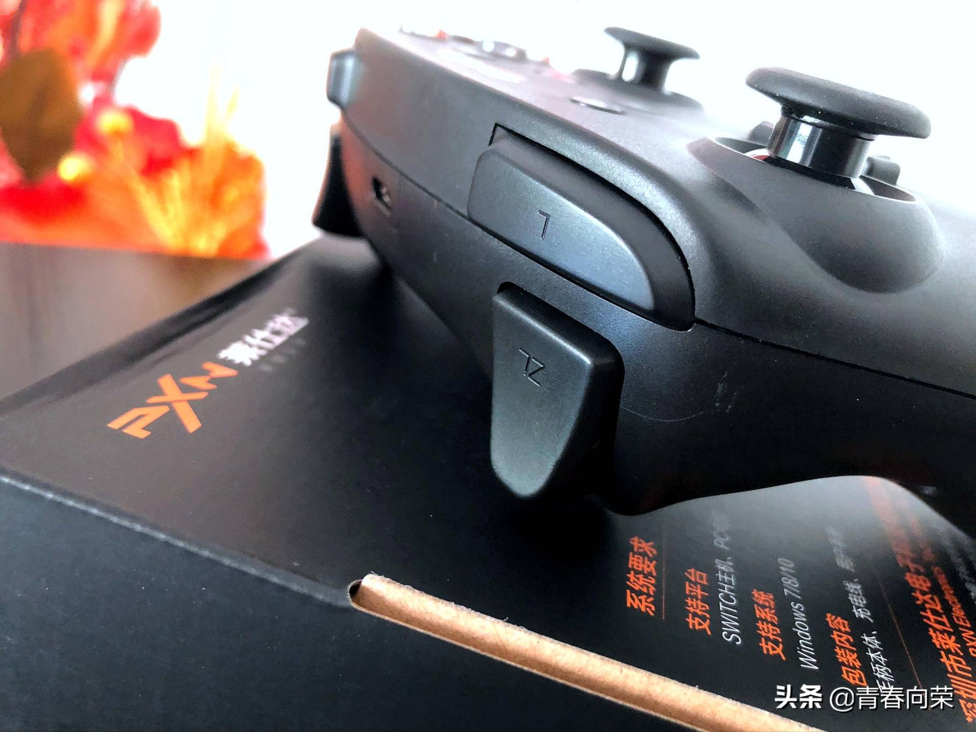 莱仕达switch手柄,莱仕达switch手柄有哪些设置