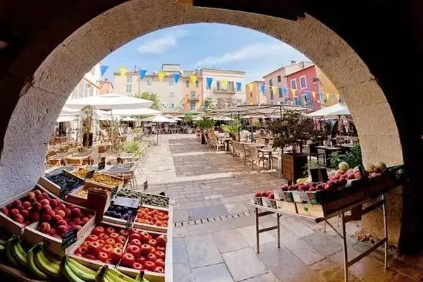 中国有机农业将主导世界，你相信吗