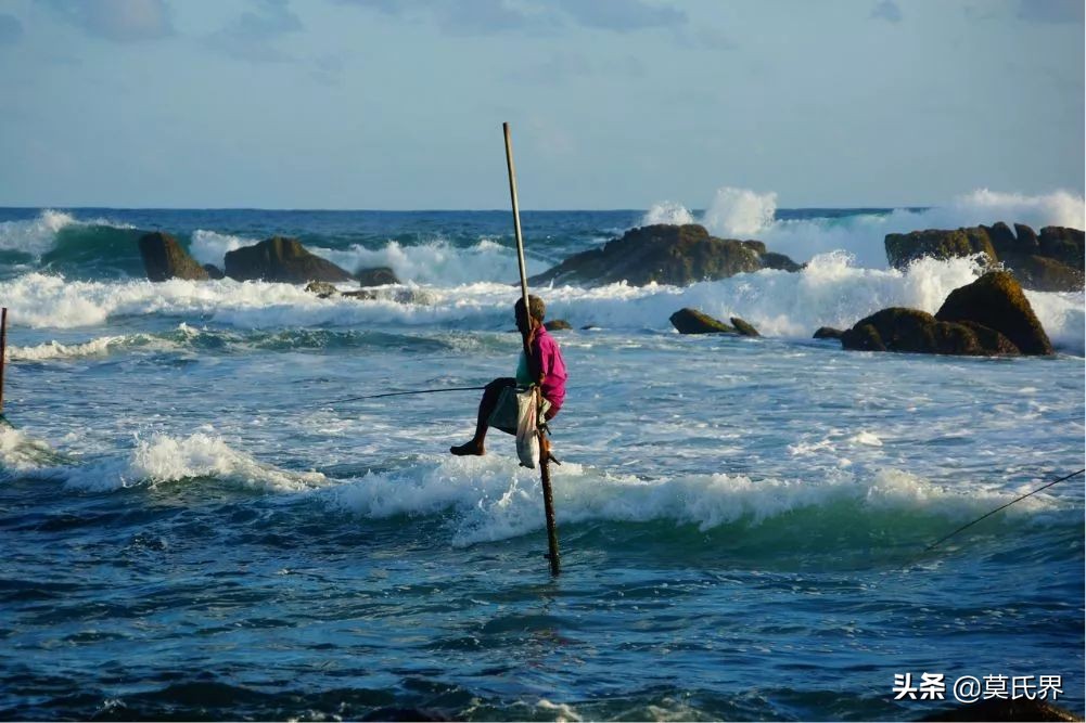 斯里兰卡古老而独特的垂钓方式,斯里兰卡独有的钓鱼方式
