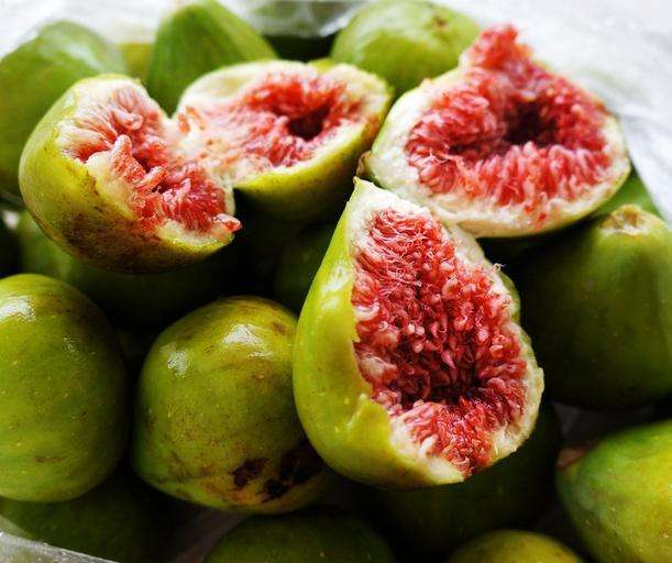 高产无花果种植应该注意哪些技巧,无花果怎样种植最好视频