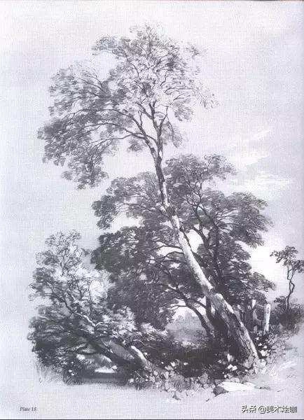 静物素描风景图临摹,简单又好画的彩铅素描风景图