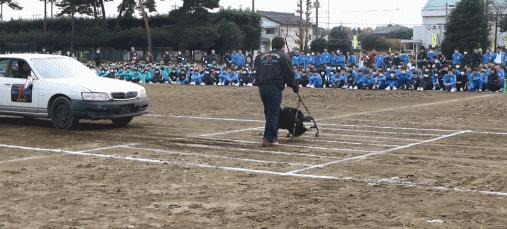 场安全教育课,“吓”醒无数父母