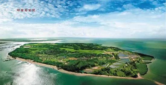 湛江最美的海滩,湛江沙滩旅游攻略