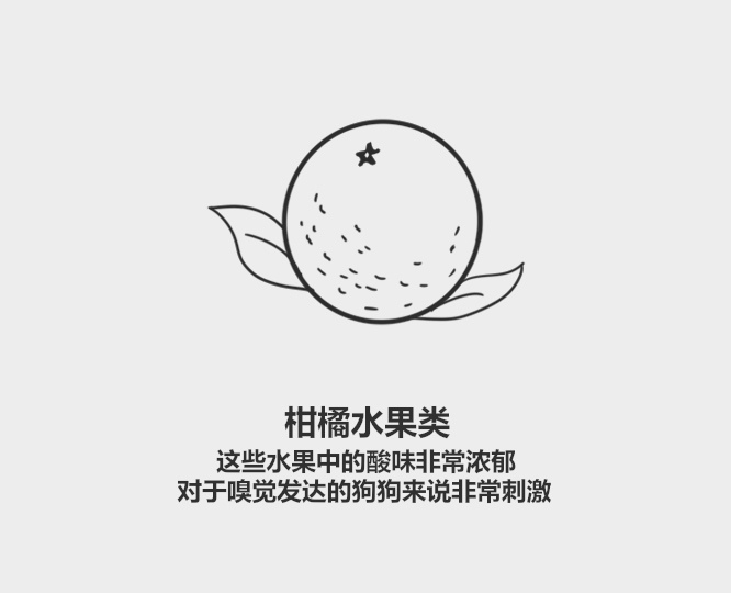 花露水刺激不刺激狗,花露水防狗狗臭味吗