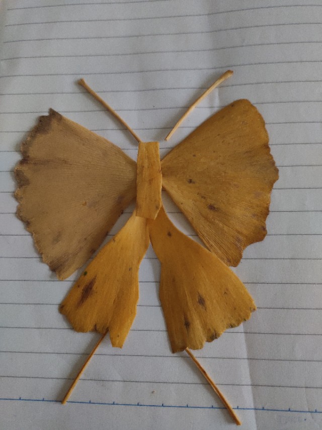 银杏叶手工花贴画幼儿园简单,银杏叶可以做什么手工小学生做的