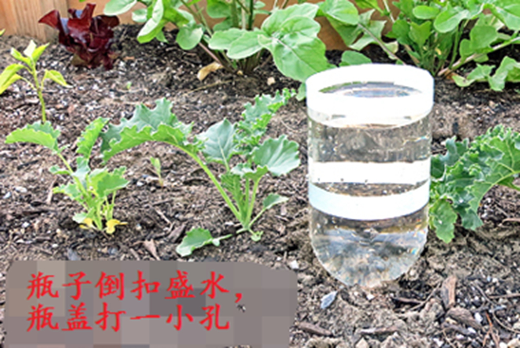 自制给花浇水神器,懒人养植物神器