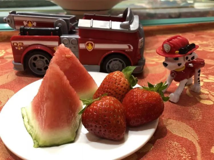 汪汪队毛毛终于有了自己的消防车,汪汪队立大功毛毛的终极消防车