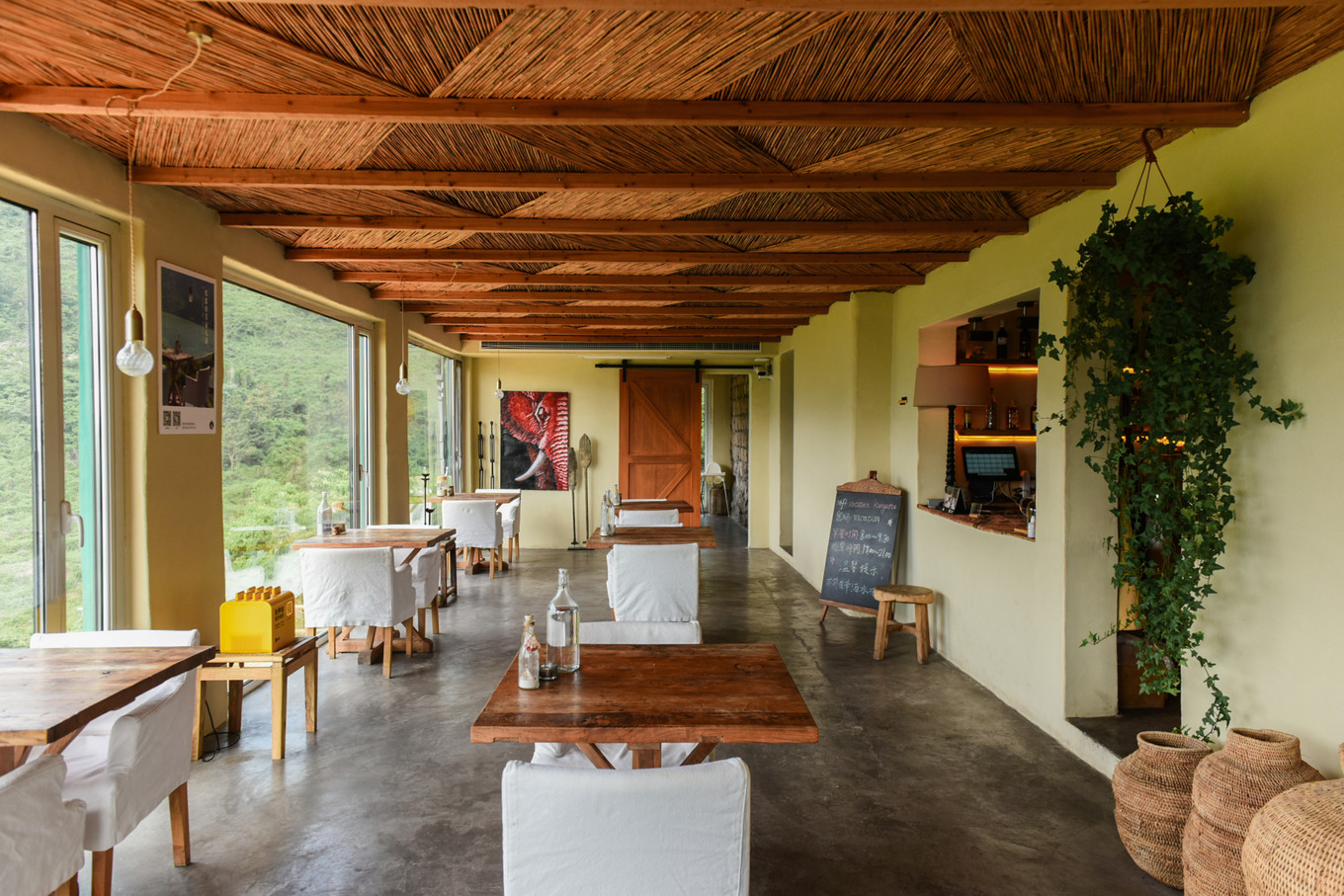 度假的袋鼠,青岛旅行的袋鼠