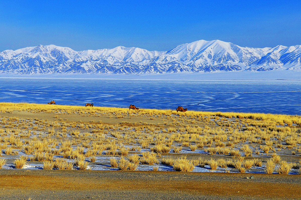 12月份中国值得旅游的地方,冬天最美的旅游地方