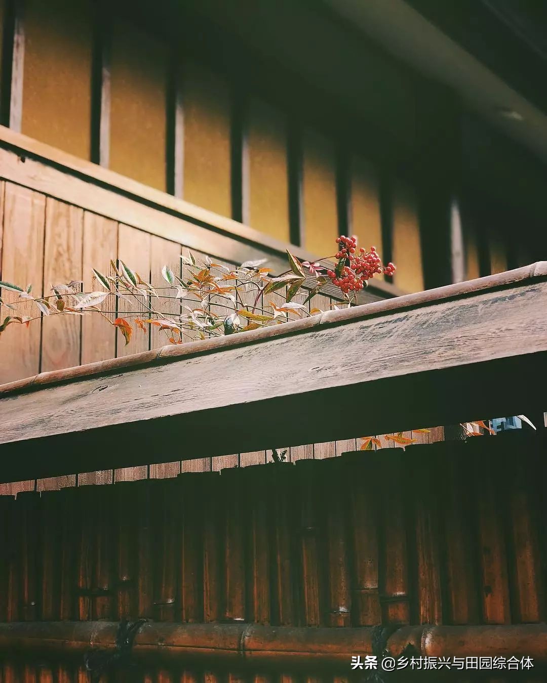 古朴悠然的禅意小镇,半农学院