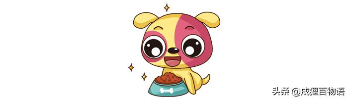 如何让狗狗变得温顺听话,怎么让家里的狗狗接受新来的狗狗