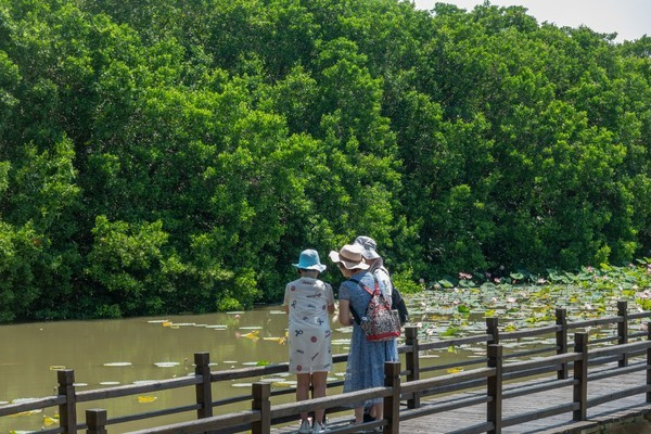 广州南沙最美风景区,南沙湾区超美风景线