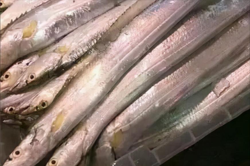 中国哪里的带鱼最好吃评测,全国哪里的带鱼最好吃