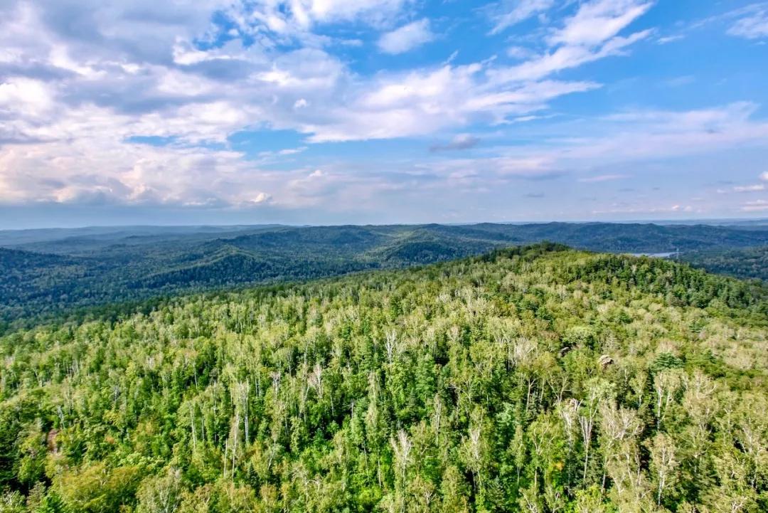 这才是夏天凉爽的地方,七里坪负氧离子全国第一避暑天堂