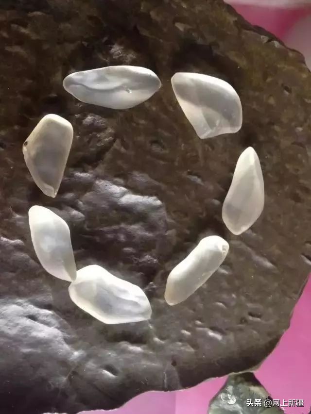 戈壁滩上的宝贝,新疆戈壁沙漠上的宝贝