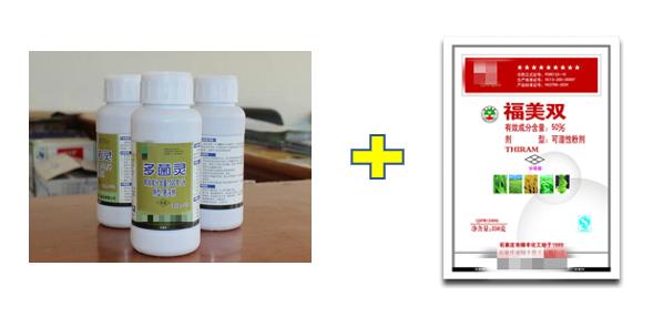 大豆振兴工作思路,振兴大豆正宗配方