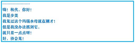 口袋妖怪之究极绿宝石四解说,口袋妖怪之究极绿宝石攻略三周目