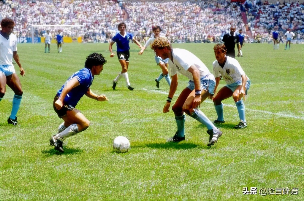 闲言碎语,险言碎语74集