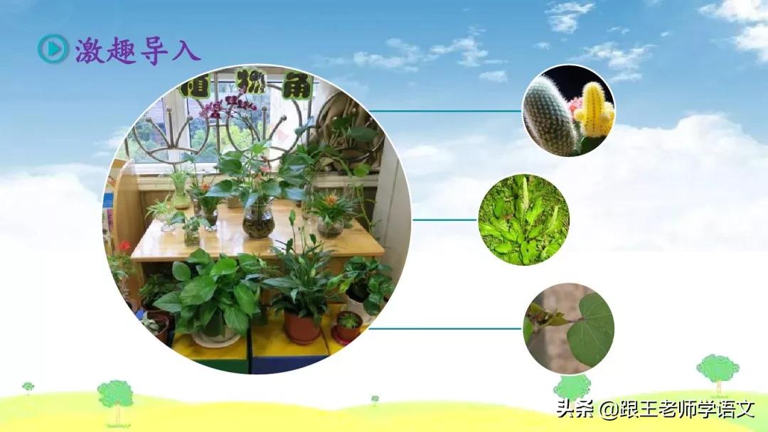 我的植物朋友竹子作文三年级300字,三年级下册我的植物朋友习作评语