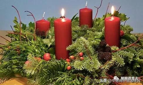 德国性教育绘本,德国儿童性教育